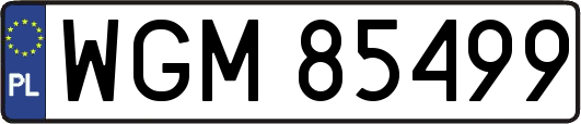 WGM85499