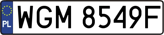 WGM8549F
