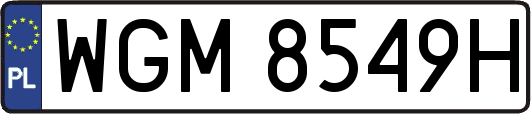 WGM8549H