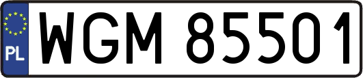 WGM85501
