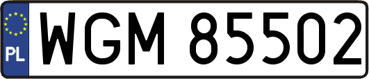 WGM85502