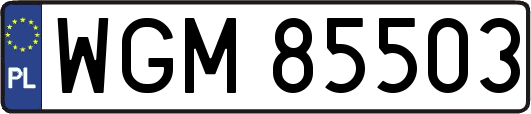 WGM85503