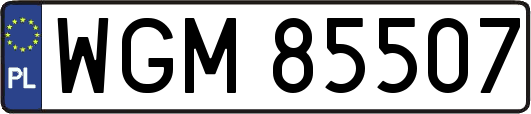 WGM85507