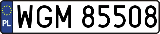 WGM85508