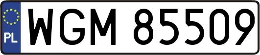 WGM85509