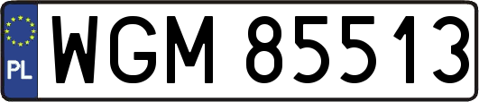WGM85513