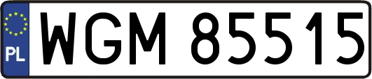 WGM85515