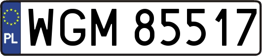 WGM85517