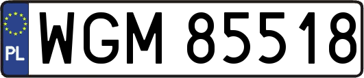 WGM85518