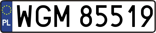 WGM85519