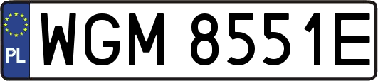 WGM8551E