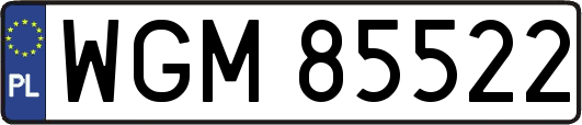 WGM85522
