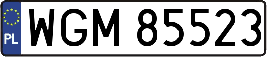 WGM85523