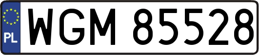 WGM85528