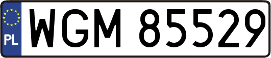 WGM85529