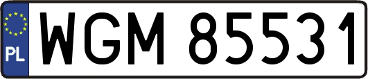 WGM85531
