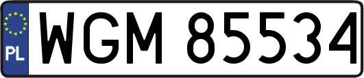 WGM85534