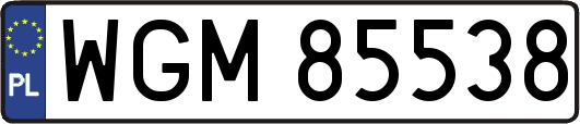 WGM85538
