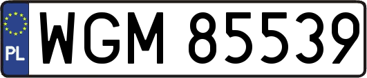 WGM85539
