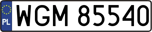 WGM85540
