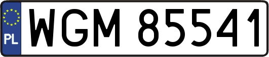 WGM85541