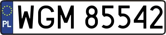 WGM85542