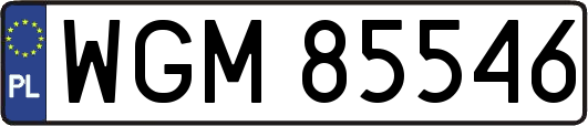 WGM85546