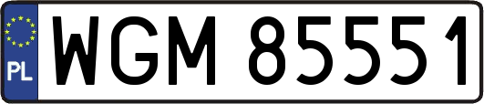 WGM85551