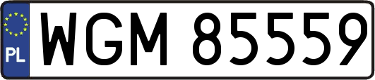WGM85559