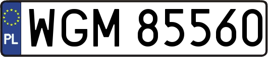 WGM85560