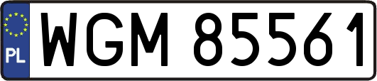 WGM85561