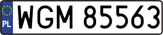 WGM85563