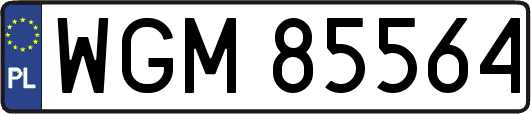WGM85564