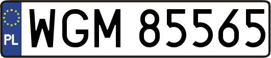WGM85565