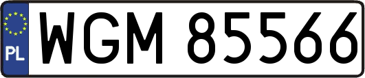 WGM85566