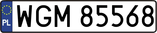 WGM85568