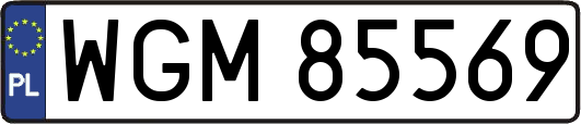 WGM85569