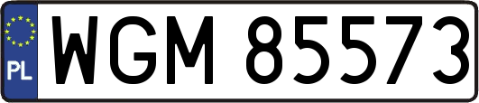 WGM85573
