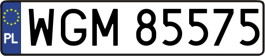 WGM85575