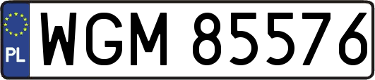 WGM85576