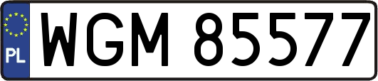 WGM85577