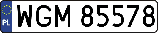 WGM85578