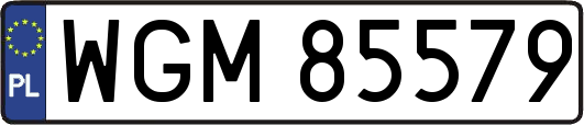 WGM85579