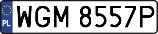 WGM8557P