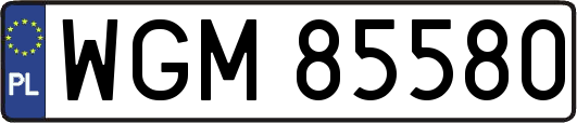 WGM85580