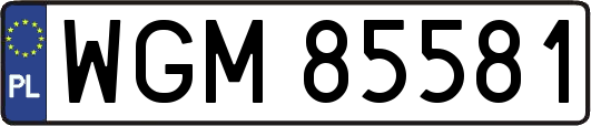 WGM85581