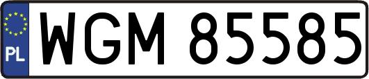WGM85585