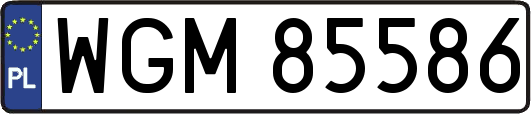 WGM85586