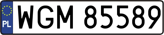 WGM85589