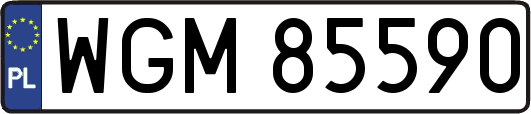 WGM85590